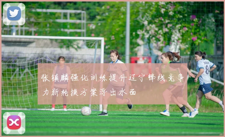 张镇麟强化训练提升辽宁锋线竞争力新轮换方案浮出水面